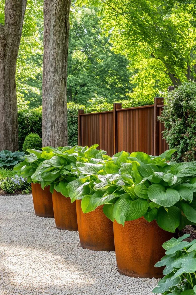 27 Unique Backyard Privacy Designs for A Serene Outdoor Oasis 78 corten steel partitions paired with lush hosta plantings 1