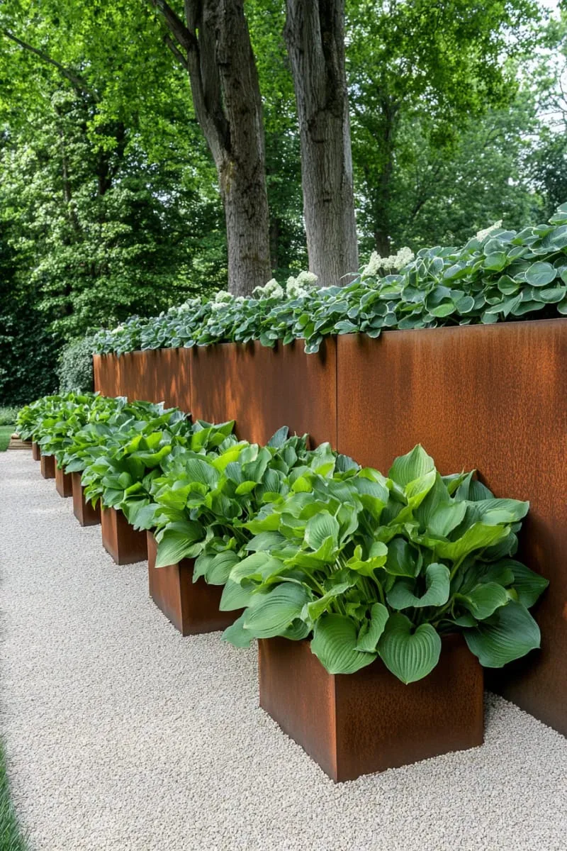 27 Unique Backyard Privacy Designs for A Serene Outdoor Oasis 79 corten steel partitions paired with lush hosta plantings 1