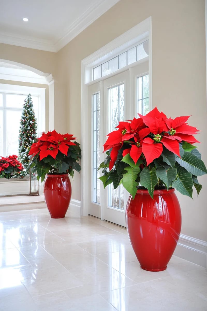 oversized poinsettia bouquets in shiny red planters for the entryway 1