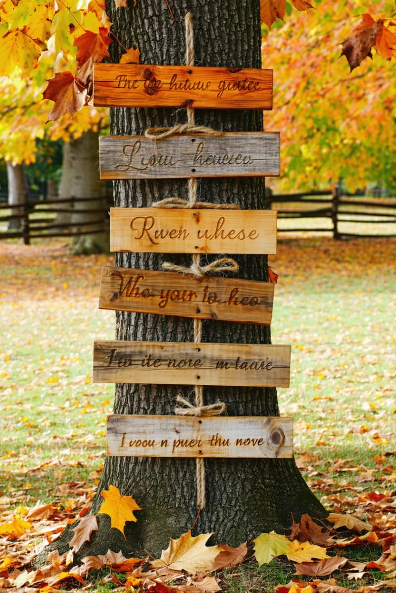 rustic wooden signs with autumn quotes nestled in branches 1