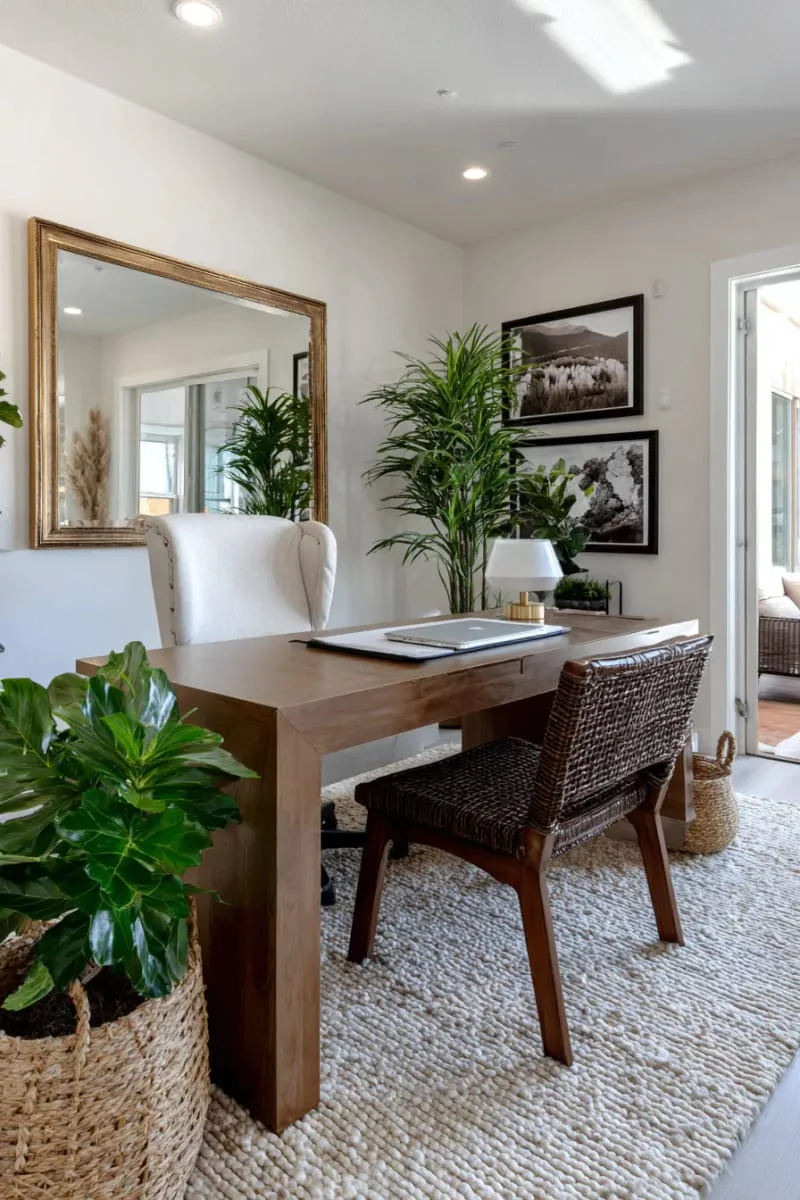 wall mirror reflecting natural light to make the space feel larger 1