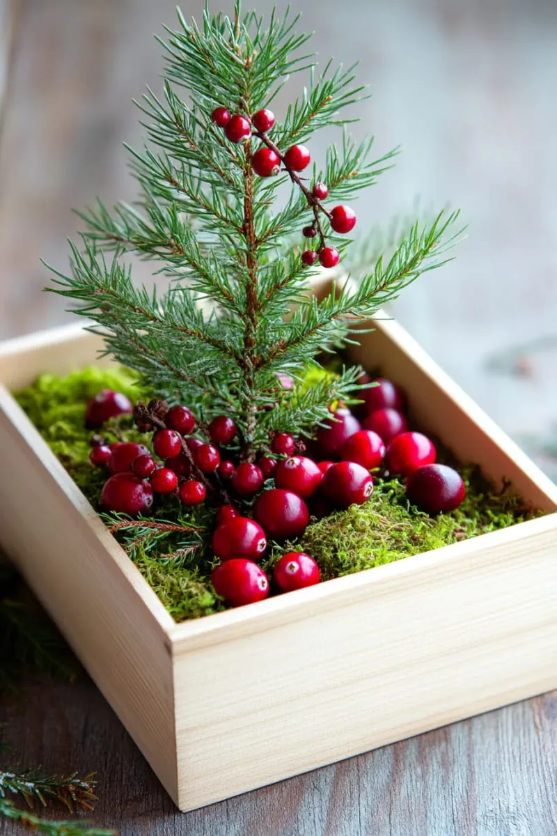 mini evergreen tree centerpiece in a wooden box with cranberries 1