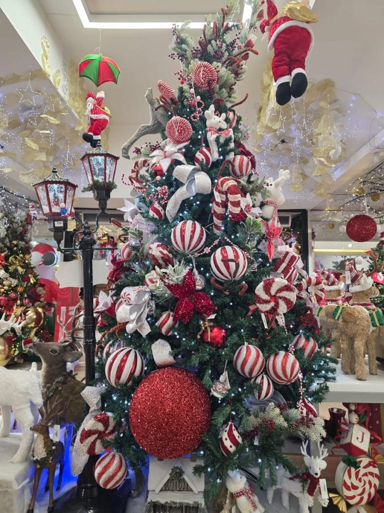 shopping for a christmas tree