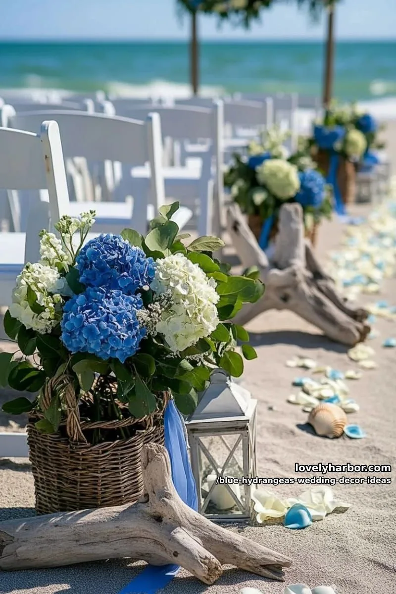 beachside aisle lined with blue hydrangea and driftwood arrangements 1