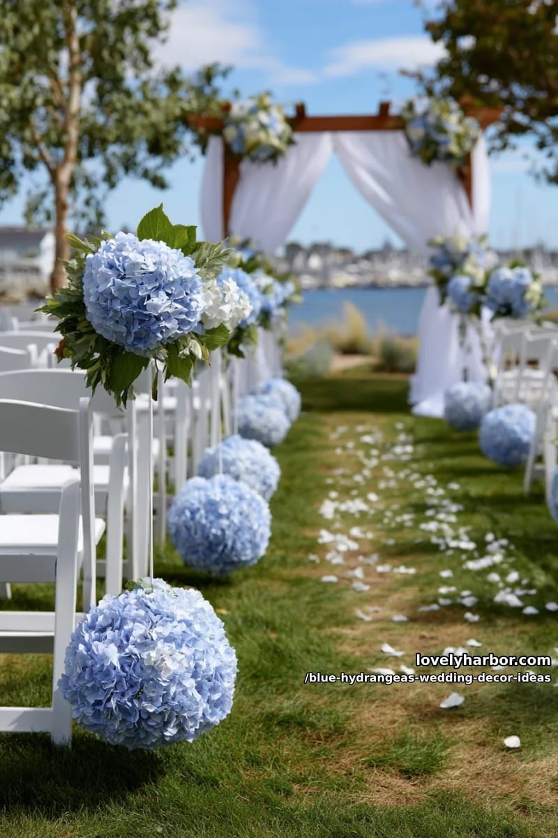 large baby blue hydrangea pomanders lining the outdoor aisle 1