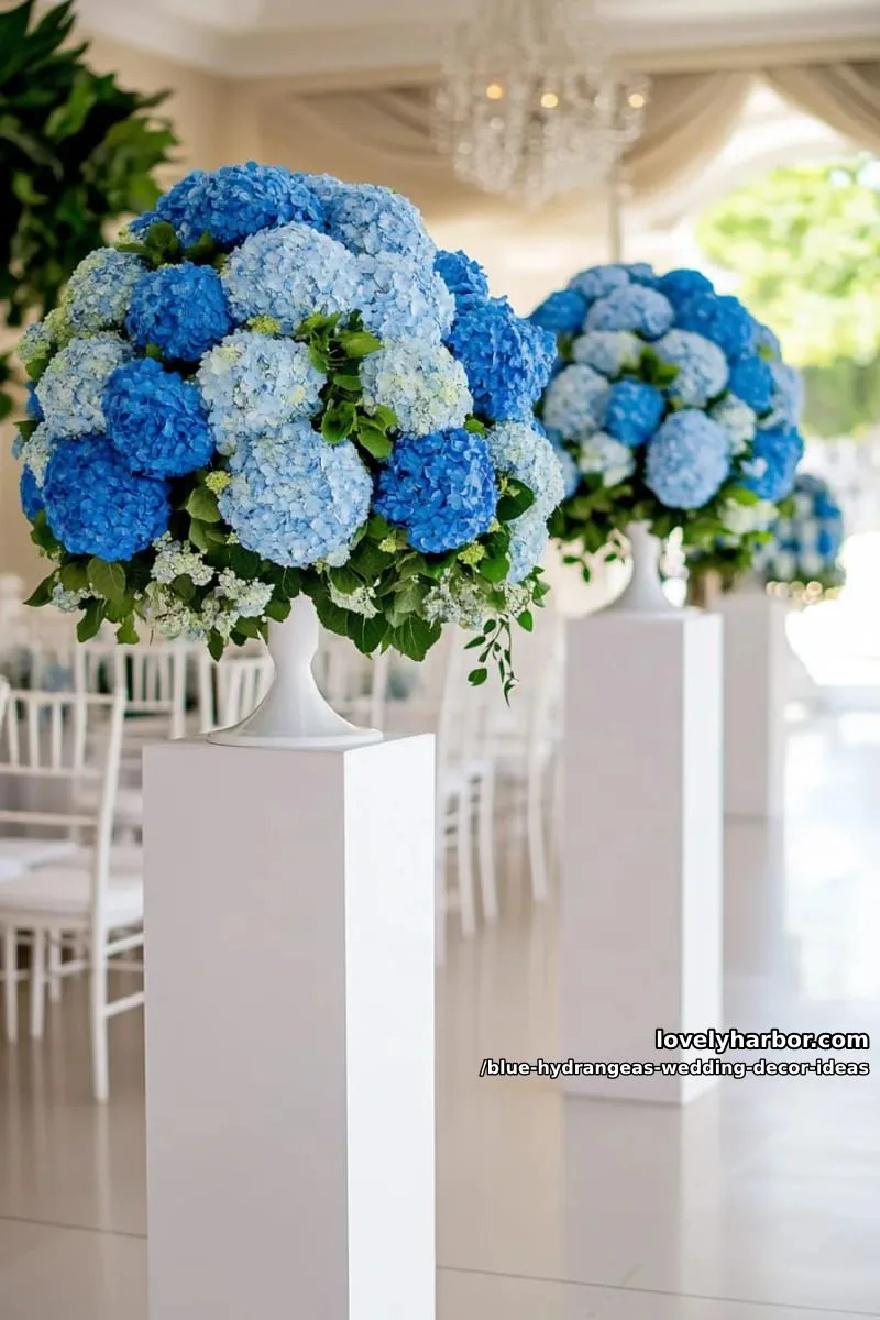 round topiary balls of blue hydrangeas on white pedestals 1