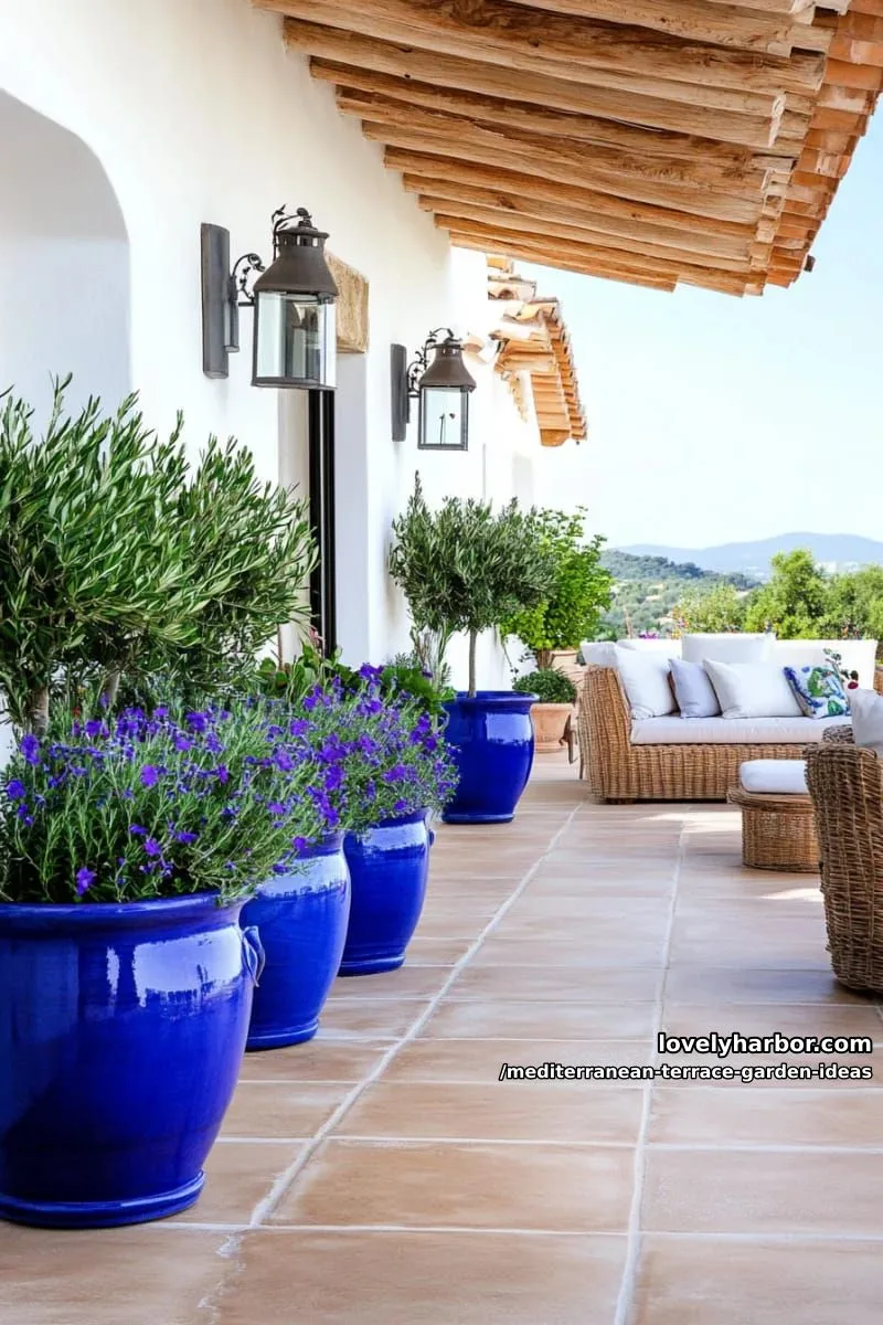 blue ceramic urns overflowing with rosemary and thyme 1