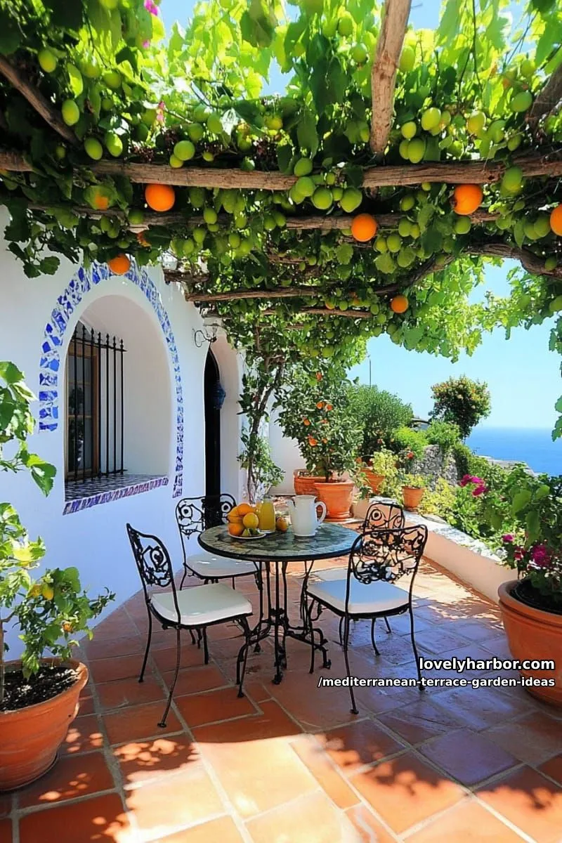 wrought iron bistro set surrounded by citrus trees in planters 1
