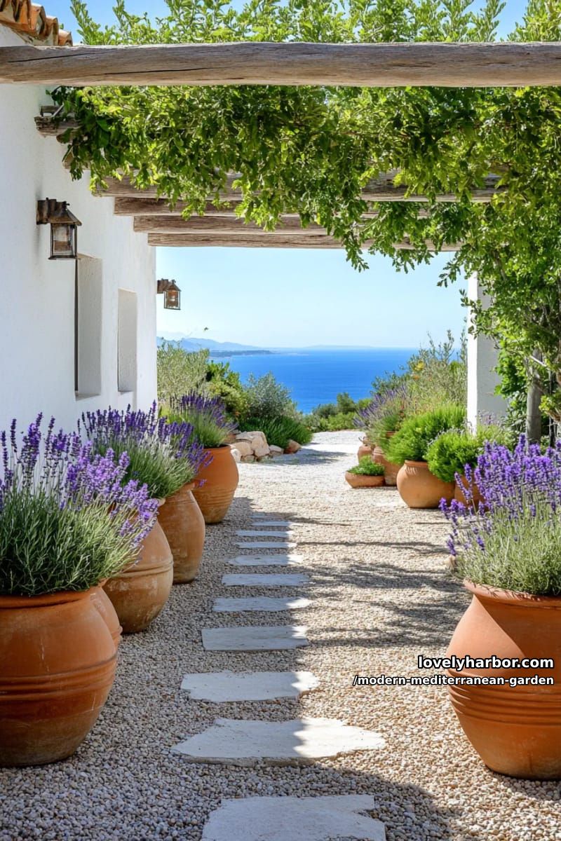 courtyard pathway with terracotta pots, lavender, olive tree under pergola, sea view. 1
