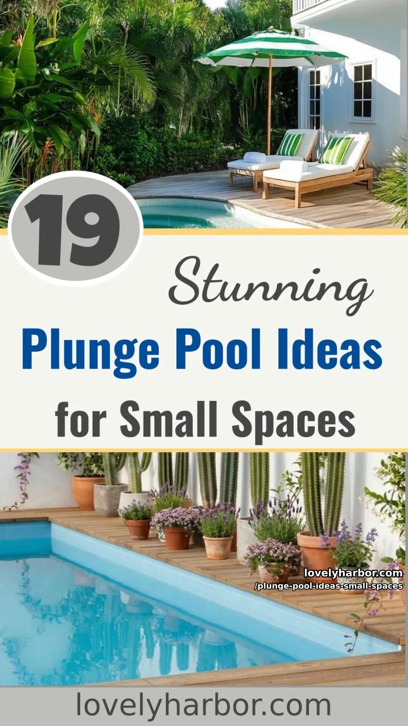 19 Plunge Pool Ideas for Small Outdoor Spaces 63 plunge pool ideas small spaces - Collage 62