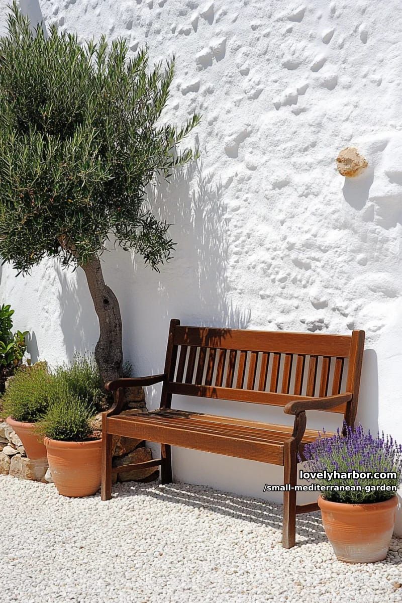 wooden bench, white stucco wall, terracotta pots, lavender, olive tree. 1