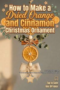How to Make a Dried Orange and Cinnamon Christmas Hanging Ornament 1 article image 1
