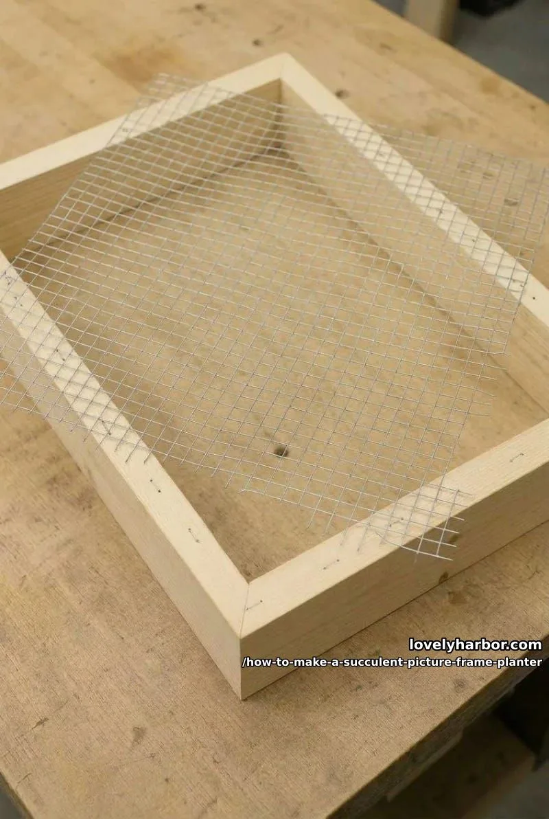 step 2: cut and staple the mesh 1