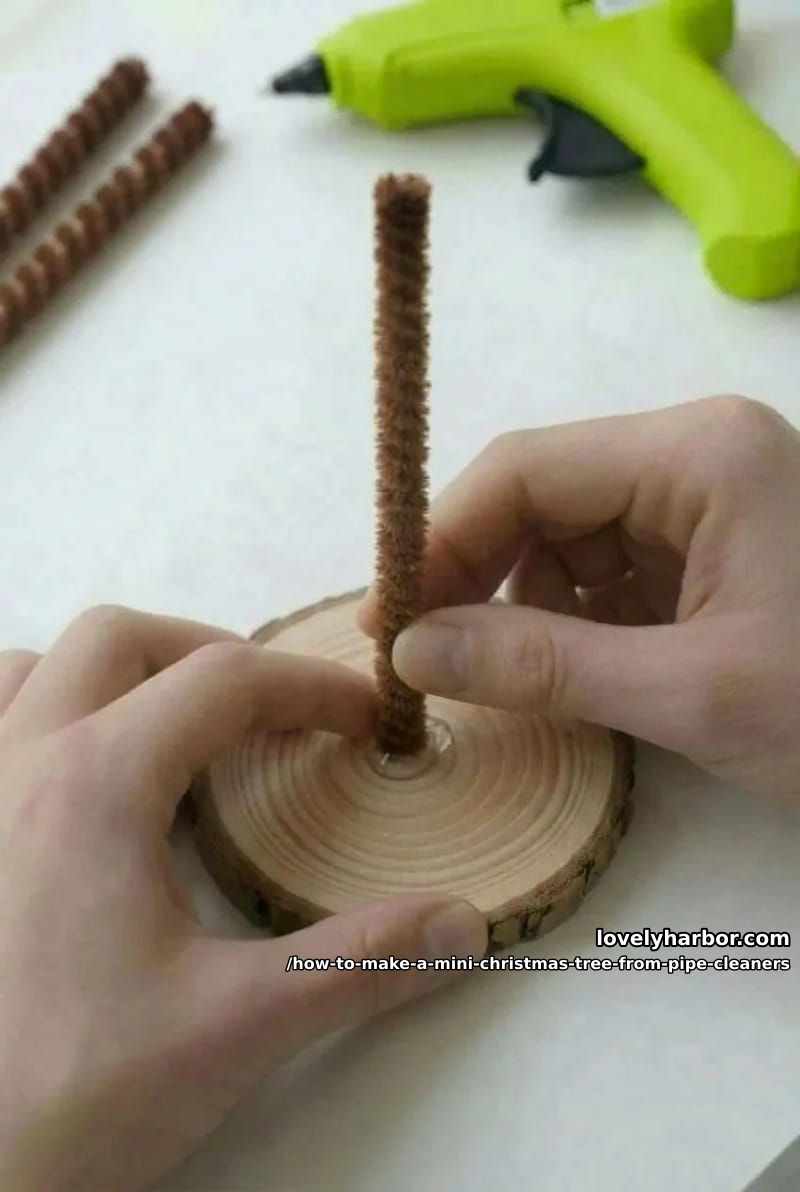 step 4: wrap the trunk and set the base 1