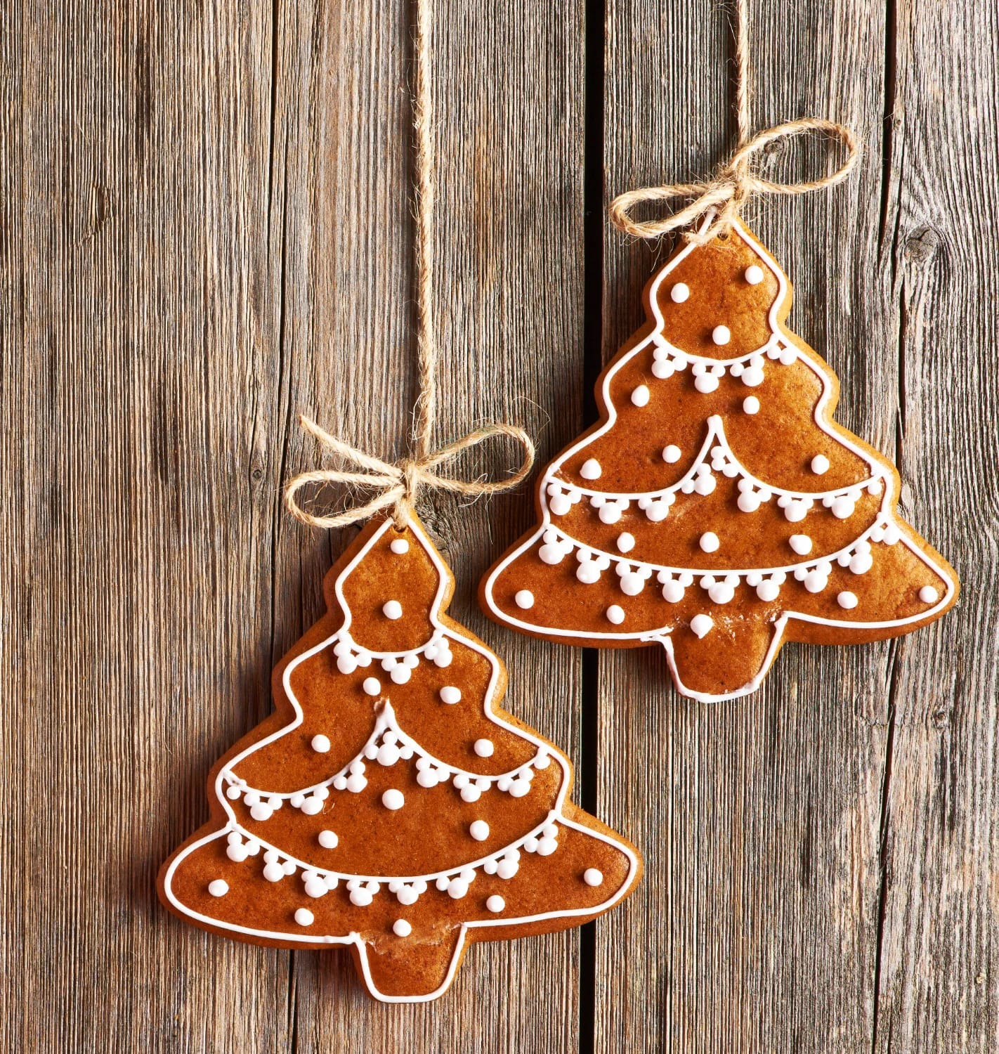 build the palette on molasses brown and icing white, not red and green 1