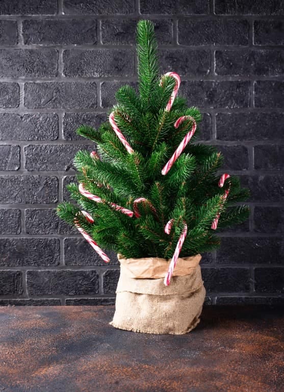 11 Whimsical Candy Cane Christmas Decorations Worth Doing Well 4 flocked red-and-white candy cane tree 3