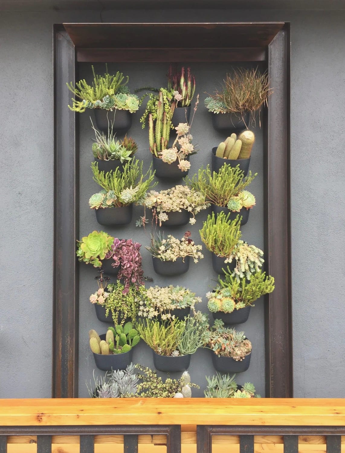 11 Small Backyard Ideas That Work in Under 400 Square Feet 13 A framed vertical garden wall in a small backyard, featuring multiple black pots filled with various succulents and cacti, demonstrating a space-saving solution for planting on walls rather than the floor.