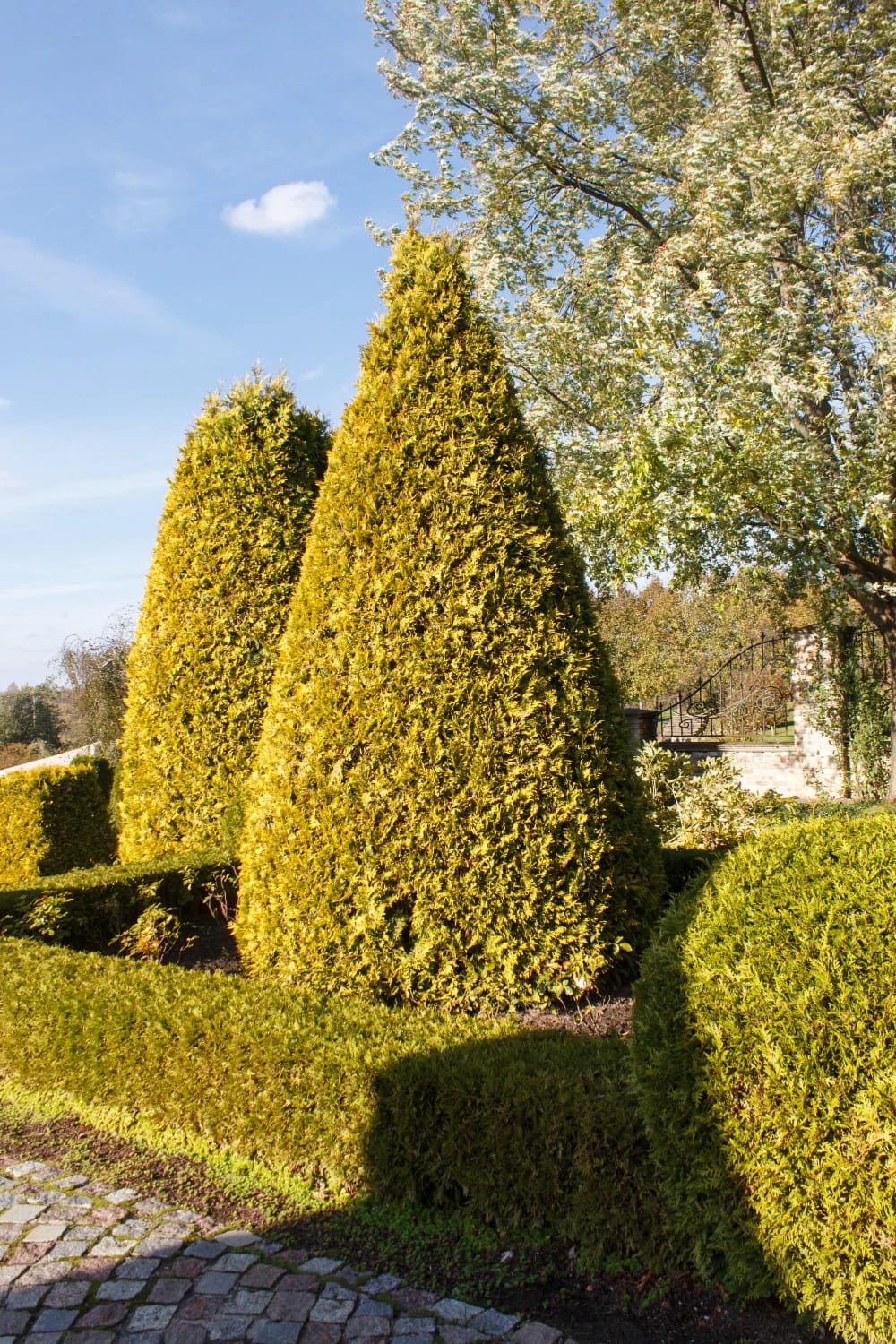 French Chateau Ideas That Read Authentic, Not Themed 9 skip boxwood in the parterre and the garden survives you 1
