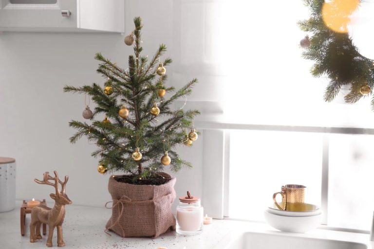 Small Apartment Christmas Tree Ideas for a Slim or Tabletop Tree That Doesn't Look Like a Compromise 1 A small tabletop Christmas tree with gold ornaments and burlap-wrapped base displayed in a bright kitchen, ideal for small apartment Christmas tree ideas.