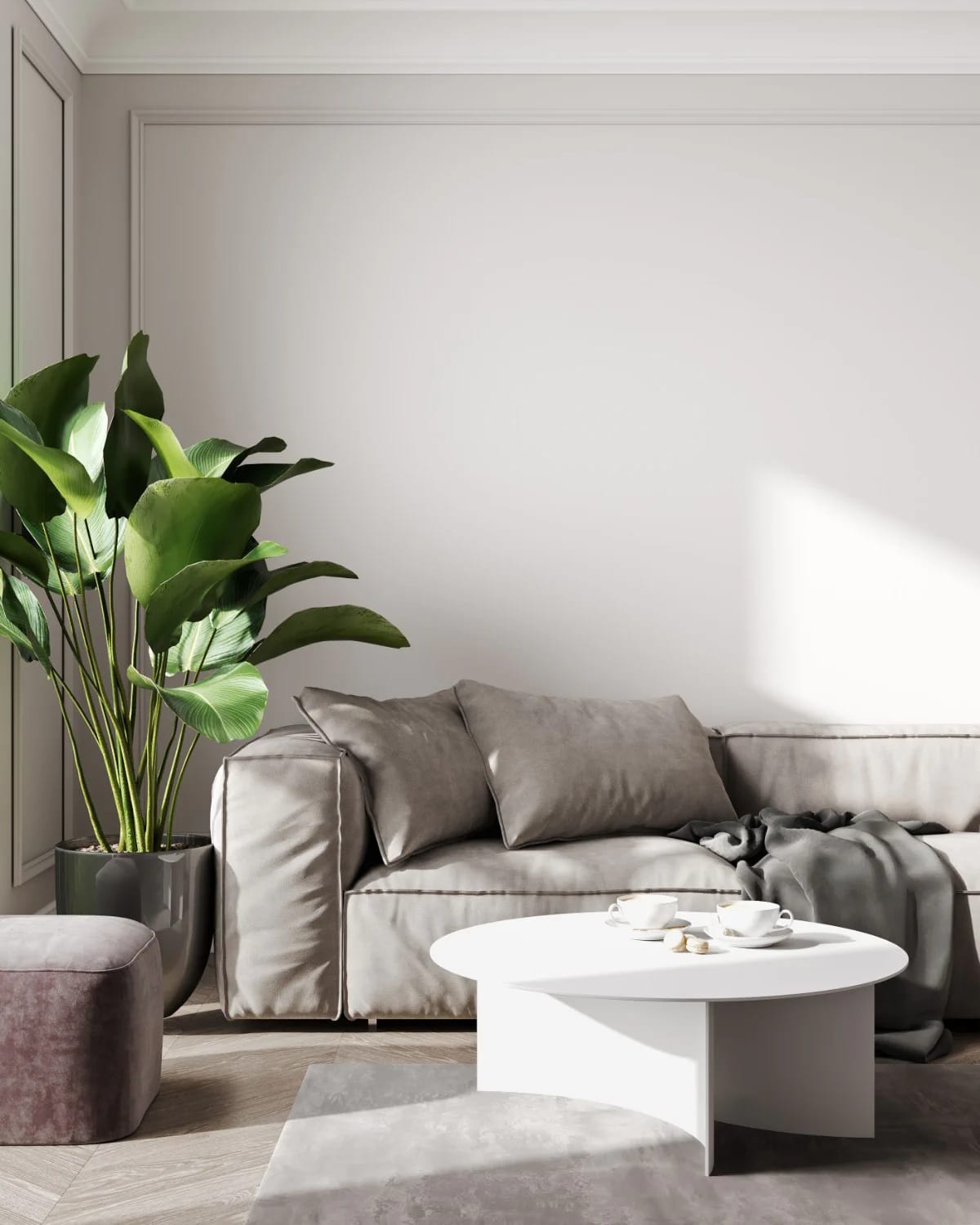 Room Orientation Changes Paint Colors Bright living room with a pale painted wall, gray sofa, white coffee table, large leafy plant, and strong sunlight creating shadows across the room, illustrating how room orientation affects paint colors